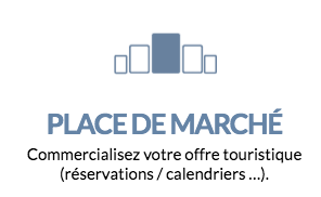 Commercialisation en ligne